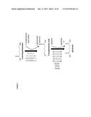 METHODS, REAGENTS AND CELLS FOR BIOSYNTHESIZING COMPOUNDS diagram and image