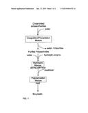 AMYLOSE PLASTIC FROM STARCH diagram and image