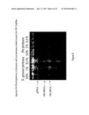 DETECTION OF ANALYTES AND NUCLEIC ACIDS diagram and image