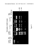 DETECTION OF ANALYTES AND NUCLEIC ACIDS diagram and image