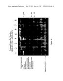 DETECTION OF ANALYTES AND NUCLEIC ACIDS diagram and image