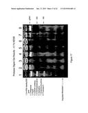 DETECTION OF ANALYTES AND NUCLEIC ACIDS diagram and image