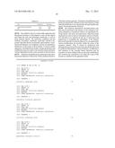 PRIMERS AND PROBES FOR DETECTING HUMAN PAPILLOMAVIRUS AND HUMAN BETA     GLOBIN SEQUENCES IN TEST SAMPLES diagram and image