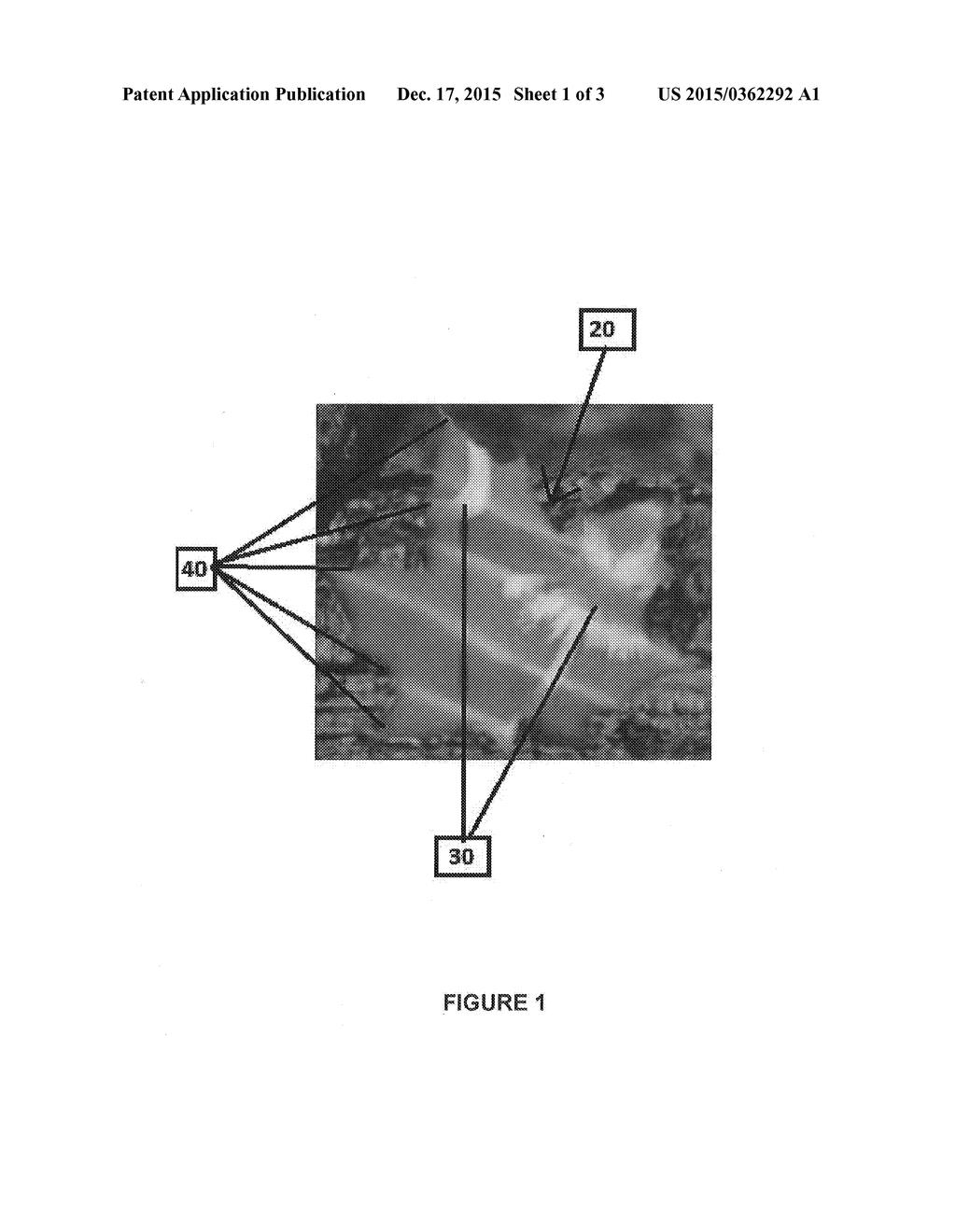 CAMOUFLAGE PATTERN WITH FILLABLE LEAVES - diagram, schematic, and image 02