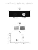 METHOD FOR EVALUATING STATE OF HORNY LAYER AND METHOD FOR EVALUATING HORNY     LAYER IMPROVEMENT EFFECT OF COSMETIC PREPARATION diagram and image