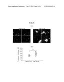 METHOD FOR EVALUATING STATE OF HORNY LAYER AND METHOD FOR EVALUATING HORNY     LAYER IMPROVEMENT EFFECT OF COSMETIC PREPARATION diagram and image