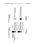 IMAGE FORMING APPARATUS diagram and image