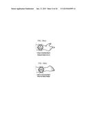 MOBILE TERMINAL AND CONTROLLING METHOD THEREOF diagram and image