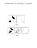 PROCESS FOR IDENTIFYING RARE EVENTS diagram and image