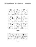 PROCESS FOR IDENTIFYING RARE EVENTS diagram and image