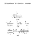 CELLULAR PROBE DEVICE, SYSTEM AND ANALYSIS METHOD diagram and image