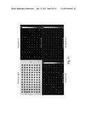 Systems and Methods for Single Cell Culture and Analysis by Microscopy and     Maldi Mass Spectrometry diagram and image