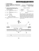 LATERAL WAFER OXIDATION SYSTEM WITH IN-SITU VISUAL MONITORING AND METHOD     THEREFOR diagram and image