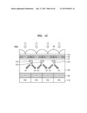 STACKED TYPE IMAGE SENSOR INCLUDING COLOR SEPARATION ELEMENT AND IMAGE     PICKUP APPARATUS INCLUDING THE STACKED TYPE IMAGE SENSOR diagram and image