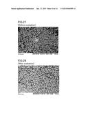 ELECTRODE PRECURSOR, ELECTRODE, AND CELL diagram and image