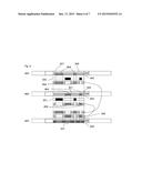 NETWORK DISTRIBUTOR diagram and image