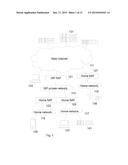 METHOD, SERVER AND APPARATUS FOR ESTABLISHING POINT-TO-POINT CONNECTION diagram and image