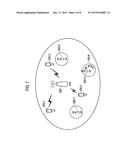 COMMUNICATION CONTROL METHOD, BASE STATION AND USER TERMINAL diagram and image