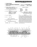 MODULE, MODULE COMPONENT COMPOSING THE MODULE, AND METHOD OF MANUFACTURING     THE MODULE diagram and image