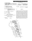 Method of Dynamically Compressing a Fracture diagram and image