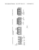 METHODS AND DEVICES FOR SKIN TIGHTENING diagram and image