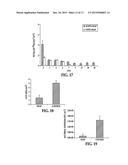 THROMBORESISTANT/BACTERICIDAL S-NITROSO-N-ACETYLPENICILLAMINE (SNAP)-DOPED     NITRIC OXIDE RELEASE POLYMERS WITH ENHANCED STABILITY diagram and image