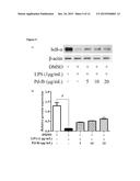 Pd-Ib for Treating Inflammation diagram and image