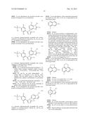 TRIAZOLE COMPOUNDS THAT MODULATE HSP90 ACTIVITY diagram and image