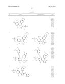 TRIAZOLE COMPOUNDS THAT MODULATE HSP90 ACTIVITY diagram and image