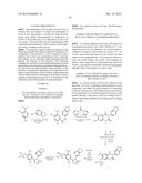 TRIAZOLE COMPOUNDS THAT MODULATE HSP90 ACTIVITY diagram and image