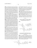 TRIAZOLE COMPOUNDS THAT MODULATE HSP90 ACTIVITY diagram and image