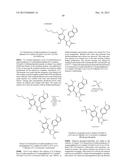 TRIAZOLE COMPOUNDS THAT MODULATE HSP90 ACTIVITY diagram and image