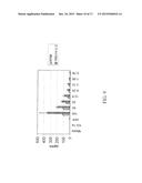 NATURAL KILLER CELLS FROM PLACENTA diagram and image