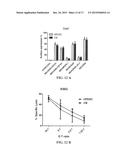 NATURAL KILLER CELLS FROM PLACENTA diagram and image