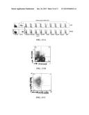 NATURAL KILLER CELLS FROM PLACENTA diagram and image