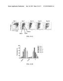 NATURAL KILLER CELLS FROM PLACENTA diagram and image