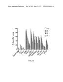 NATURAL KILLER CELLS FROM PLACENTA diagram and image