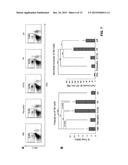 Methods for Mobilizing Hematopoietic Stem Cells diagram and image