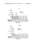 INHIBITION OF DRUG RESISTANT CANCER CELLS diagram and image