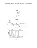 SYNTHETIC TLR4 AND TLR7 LIGANDS AS VACCINE ADJUVANTS diagram and image