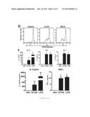 SYNTHETIC TLR4 AND TLR7 LIGANDS AS VACCINE ADJUVANTS diagram and image