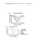 SYNTHETIC TLR4 AND TLR7 LIGANDS AS VACCINE ADJUVANTS diagram and image