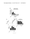 SYNTHETIC TLR4 AND TLR7 LIGANDS AS VACCINE ADJUVANTS diagram and image