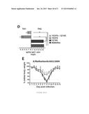 SYNTHETIC TLR4 AND TLR7 LIGANDS AS VACCINE ADJUVANTS diagram and image