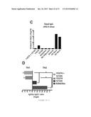 SYNTHETIC TLR4 AND TLR7 LIGANDS AS VACCINE ADJUVANTS diagram and image