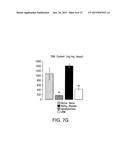 INJECTABLE PERIPHERAL NERVE SPECIFIC HYDROGEL diagram and image