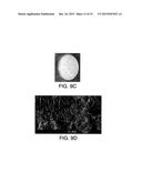 INJECTABLE PERIPHERAL NERVE SPECIFIC HYDROGEL diagram and image