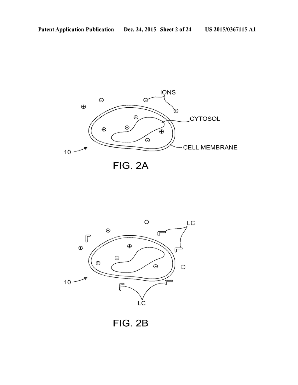 METHODS AND SYSTEMS FOR TOXIN DELIVERY TO THE NASAL CAVITY - diagram, schematic, and image 03