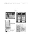 FILTERING ARTICLE CONTAINING TITANIA NANOTUBES diagram and image