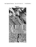 FILTERING ARTICLE CONTAINING TITANIA NANOTUBES diagram and image